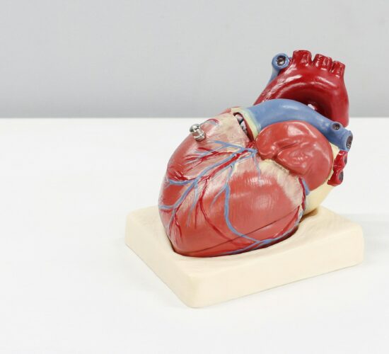Nishi Patel- cardiology