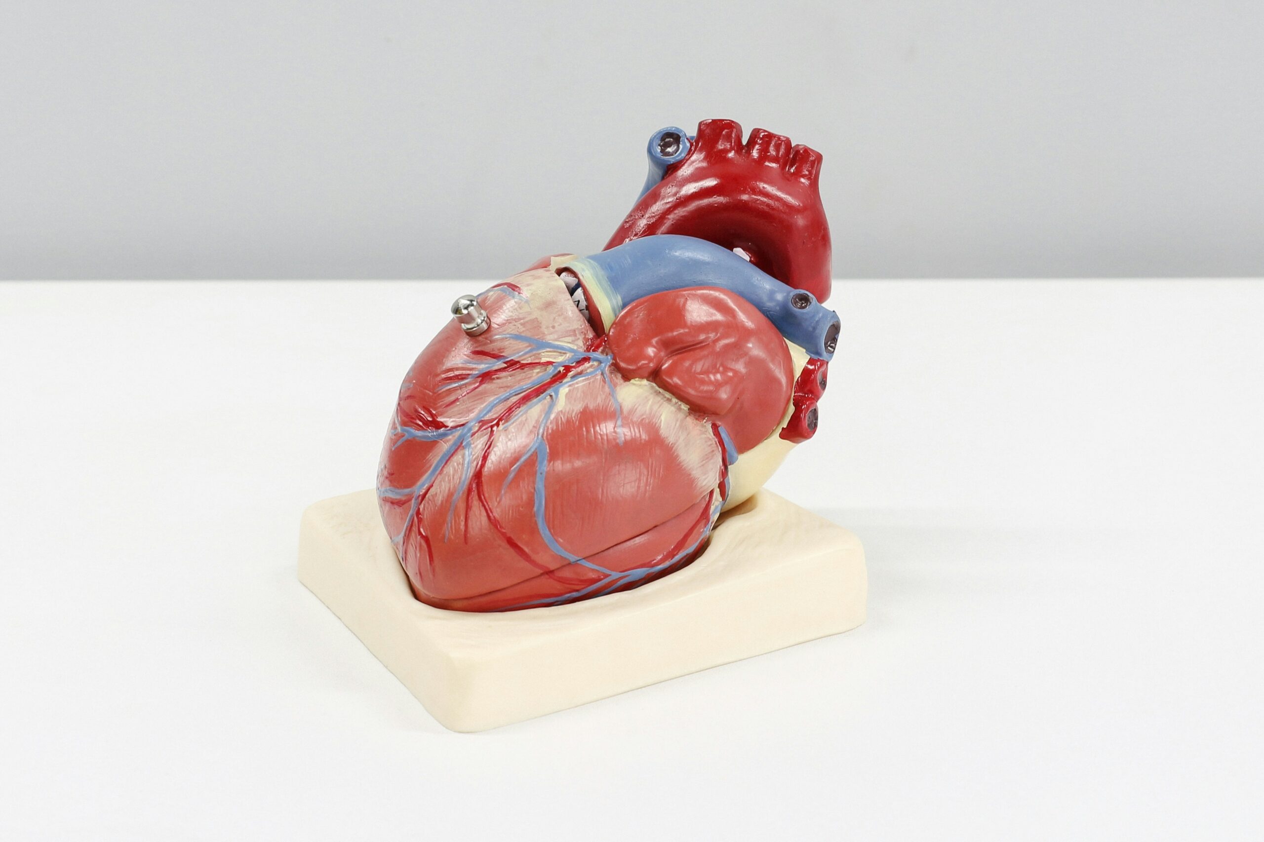 Nishi Patel- cardiology