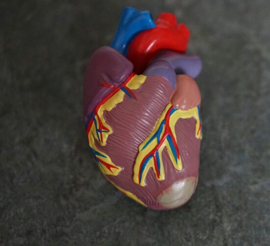 Cardiology