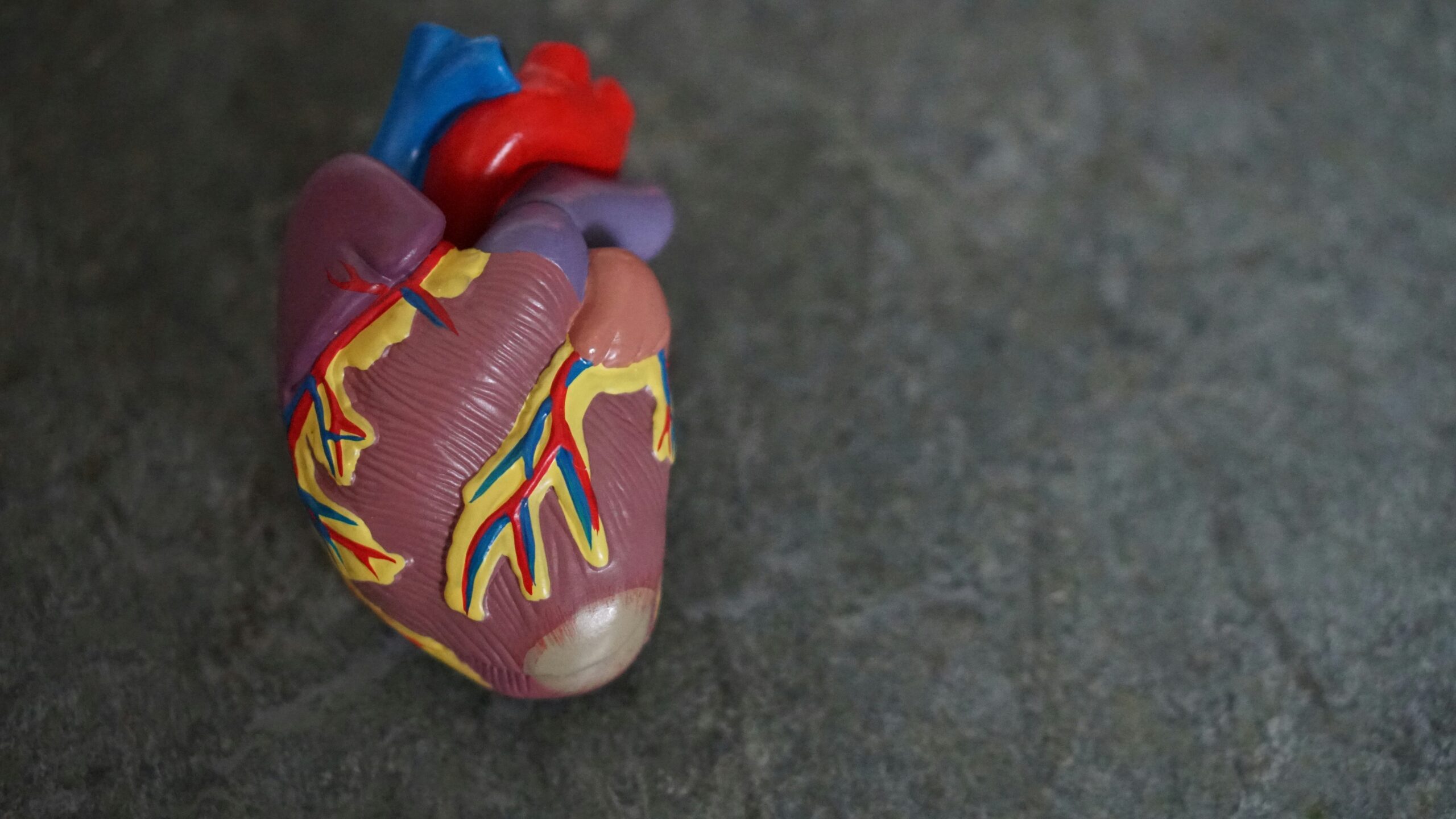 Cardiology