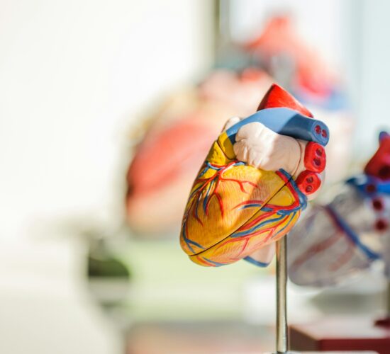 Nishi Patel-cardiac risk