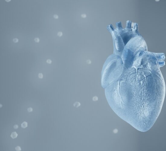 Modern Heart Imaging Tools