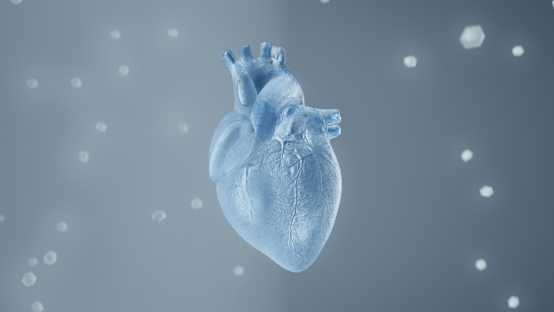 Modern Heart Imaging Tools